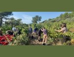 Photo DOMAINE DU DEFFENDS