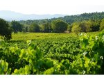 Photo DOMAINE DU DEFFENDS