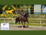 Photo CENTRE EQUESTRE DE PONT ROYAL, L'ECURIE DU SOLEIL