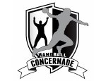 HANDBALL CONCERNADE