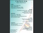 Photo CAPOEIRA SENZALA LYON MESTRE CHÃO