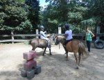Photo LES PONEYS DU VAL D'EMERAUDE