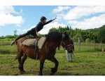 Photo FERME EQUESTRE DE POLYTRAIT