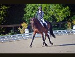 Photo ECOLE D'EQUITATION HERVE