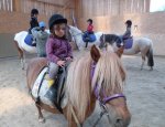 Photo ECOLE D'EQUITATION HERVE