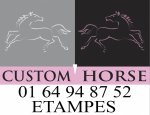 CUSTOM HORSE