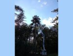 Photo BES RENOVATION
