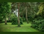 Photo CHATEAU DE PRAVINS
