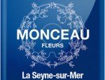 Photo MONCEAU FLEURS