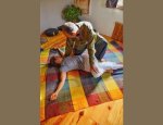 KUSHI MASSAGE