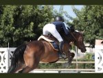 Photo CENTRE EQUESTRE PONEY-CLUB DE VAISON