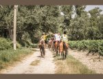 Photo CENTRE EQUESTRE PONEY-CLUB DE VAISON