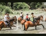Photo CENTRE EQUESTRE PONEY-CLUB DE VAISON