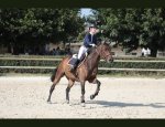 Photo CENTRE EQUESTRE PONEY-CLUB DE VAISON