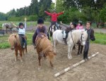 Photo CENTRE EQUESTRE DE CURLY