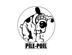 Photo PILE-POIL