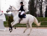 Photo HAC EQUITATION