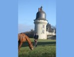 Photo CENTRE EQUESTRE DU GUE PEAN