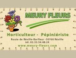 MEURY FLEURS