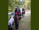 Photo FERME EQUESTRE DU K ROUGE