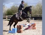 Photo FERME EQUESTRE DU K ROUGE
