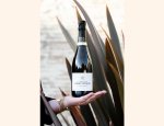 Photo CHAMPAGNE OUDART ORTILLON