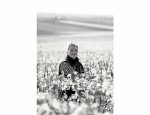 Photo CHAMPAGNE OUDART ORTILLON