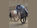 Photo CENTRE EQUESTRE DU NEUBOURG