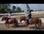 Photo CENTRE EQUESTRE LE MARAIS EN SELLE
