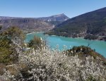 Photo CAMPING CASTILLON DE PROVENCE