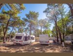 Photo CAMPING LA PINEDE EN PROVENCE