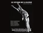LE STUDIO DE LA DANSE