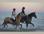 CENTRE EQUESTRE ET PONEY CLUB DE PORNIC
