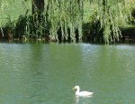 Photo LE CLOS DES OISEAUX