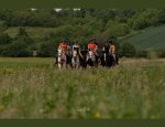 Photo LOISIRS EQUESTRES