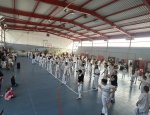 Photo CAPOEIRA PASSO A PASSO