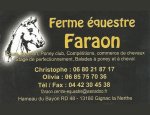 Photo ECURIE DU FARAON