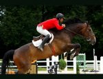 Photo PONEY CLUB WHYNEHN