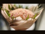 Photo ANYFLEURS