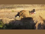 Photo POTERIE D'ANDUZE LES ENFANTS DE BOISSET