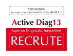 ACTIVE DIAG13
