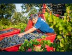 Photo DOMAINE LA BOUTINIERE