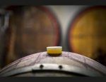 Photo DOMAINE LA BOUTINIERE