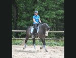 Photo DOMAINE EQUESTRE DE GENESTON