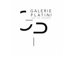 Photo GALERIE D'ART SYLVIE PLATINI