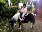 Photo PONEY CLUB DE LA SAPINIERE