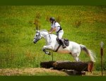 Photo PONEY CLUB DE LA SAPINIERE