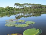 Photo FEDERATION DES LANDES POUR LA PECHE ET LA PROTECTION  DU MILIEU AQUATIQUE