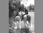 Photo FERME EQUESTRE LA SERVIE