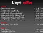 L'ESPRIT COIFFURE